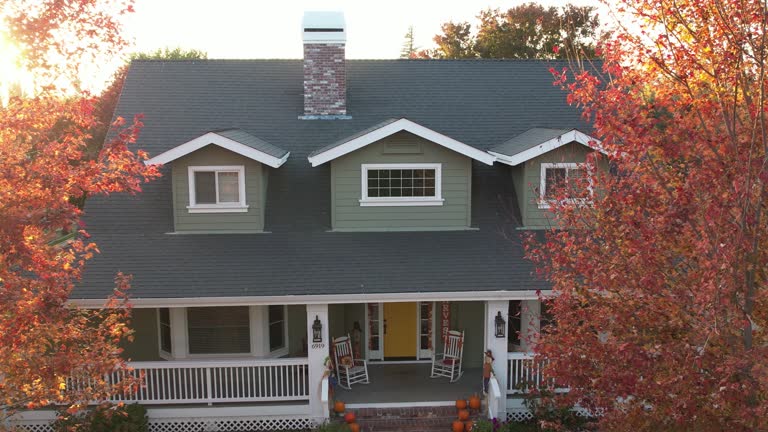 Best Gutter Installation and Repair  in Vilonia, AR